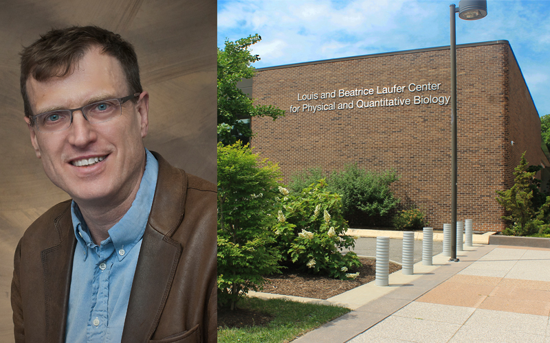 Robert Harrison and Laufer Center Building